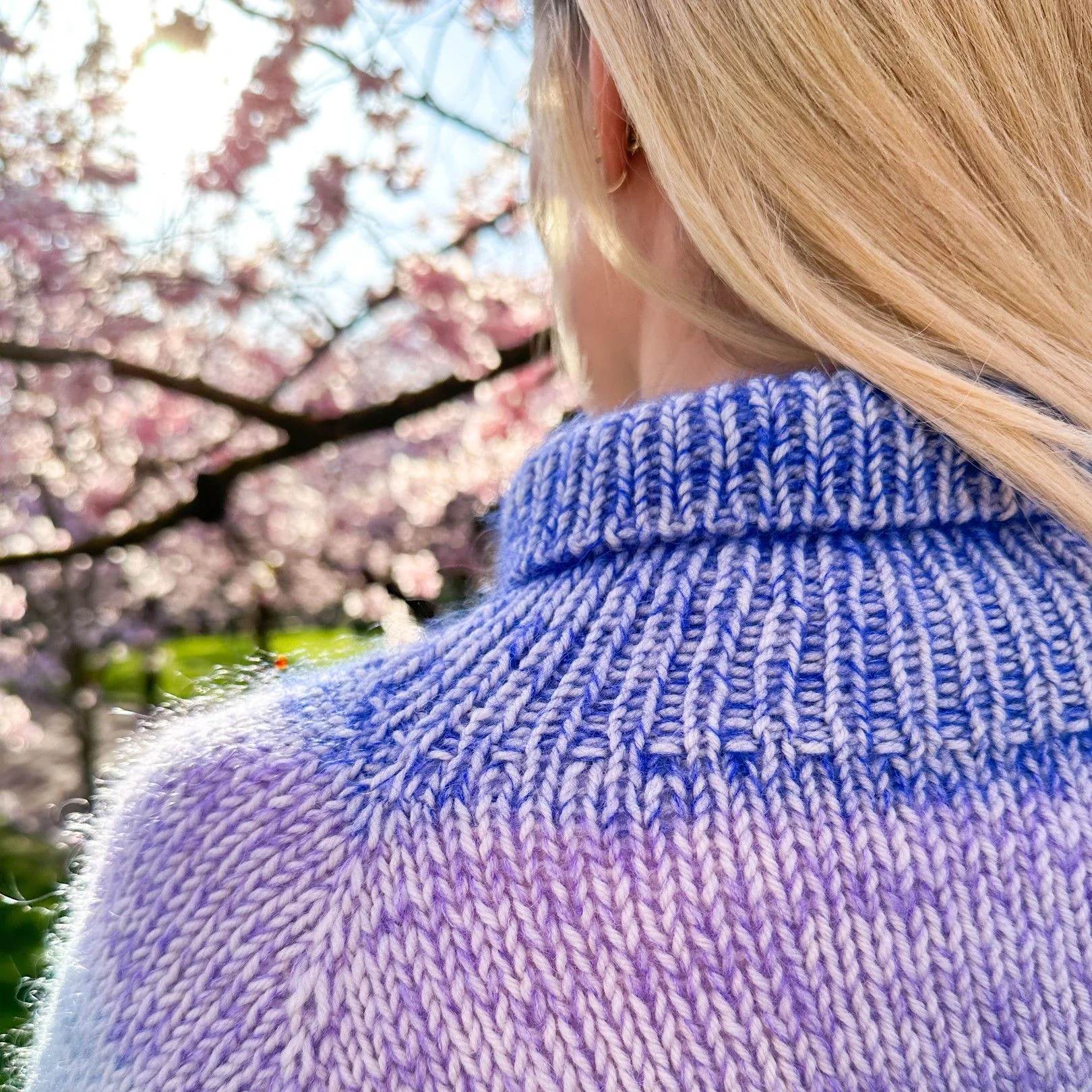 Vinterpasteller - Sweater - Image 3
