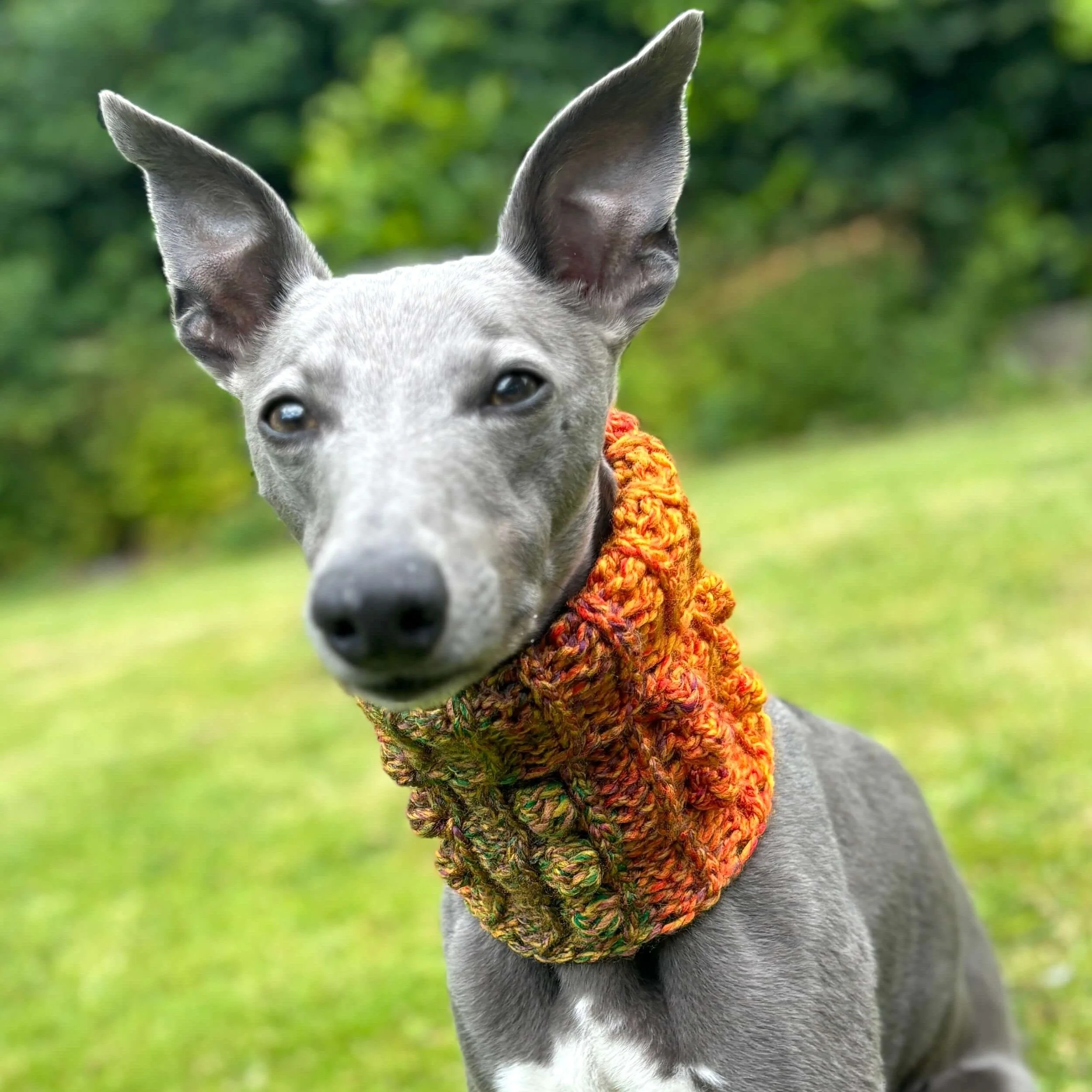Doggy Bobble - Snood - Image 4