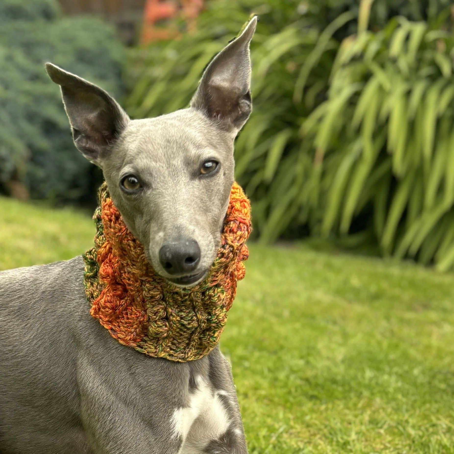 Doggy Bobble - Snood - Image 5
