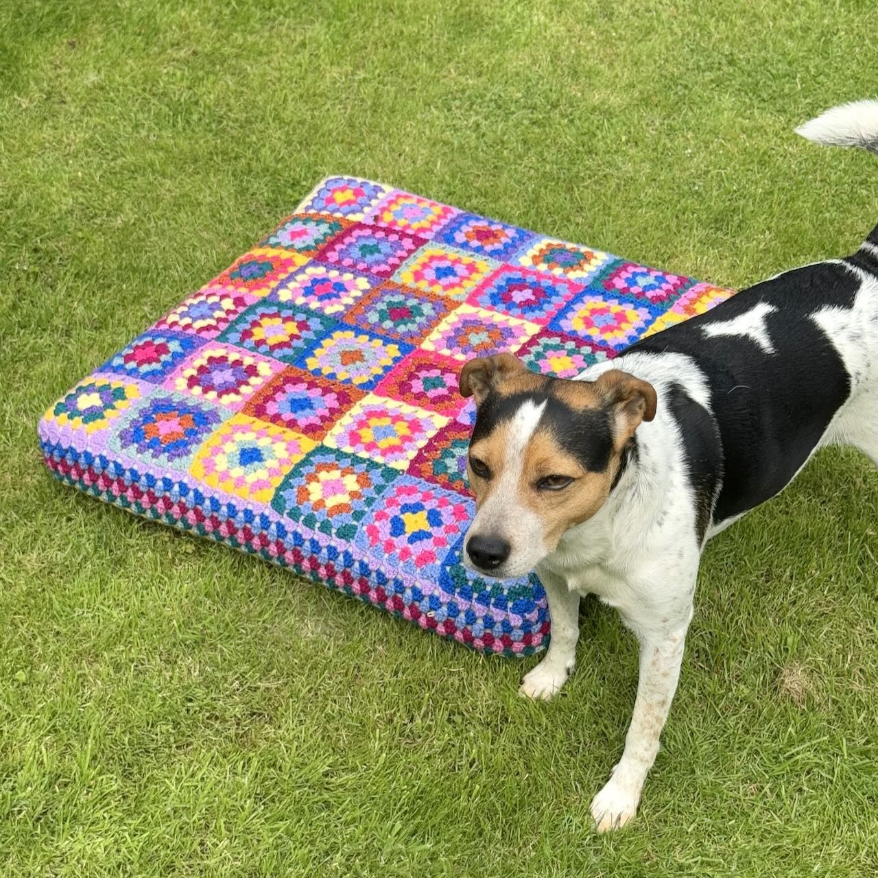 Kafka’s Dog Bed - Image 3