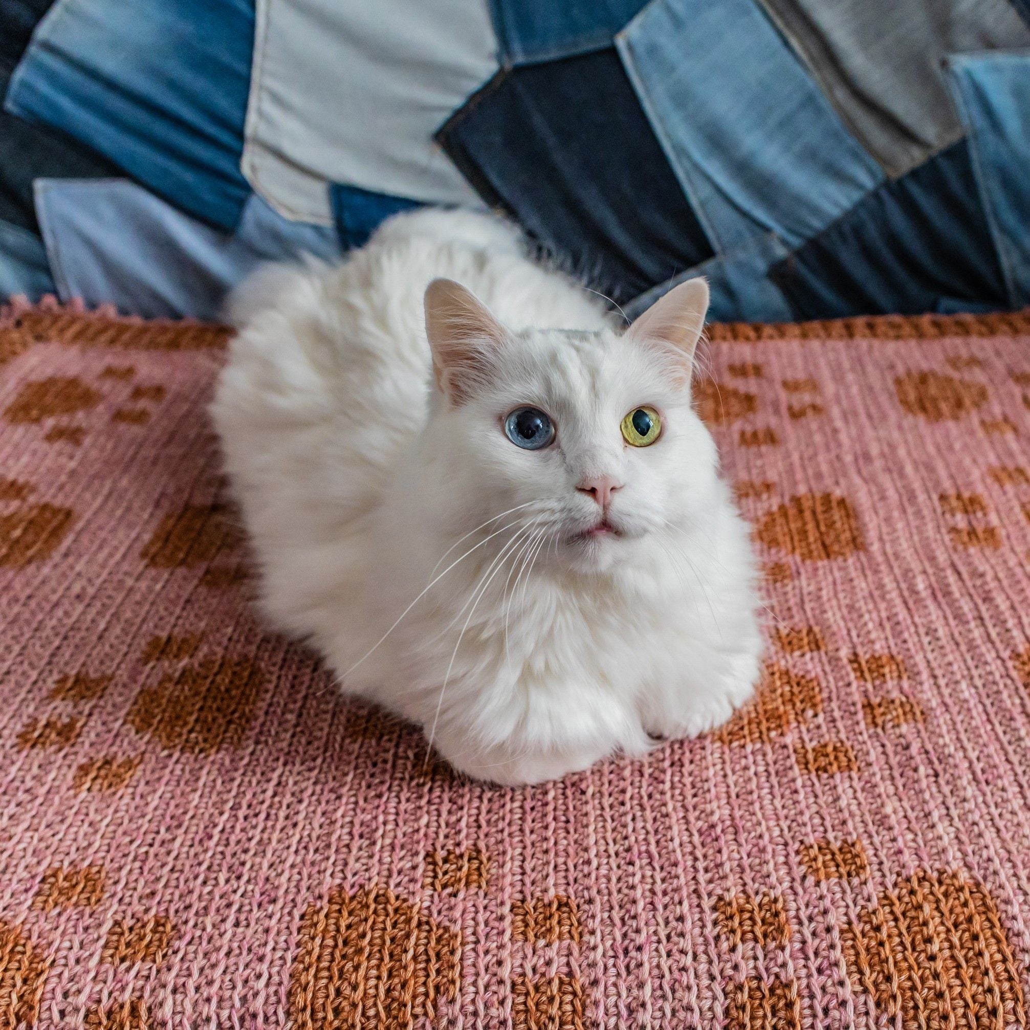 Paw Prints On My Heart - Blanket - Image 2
