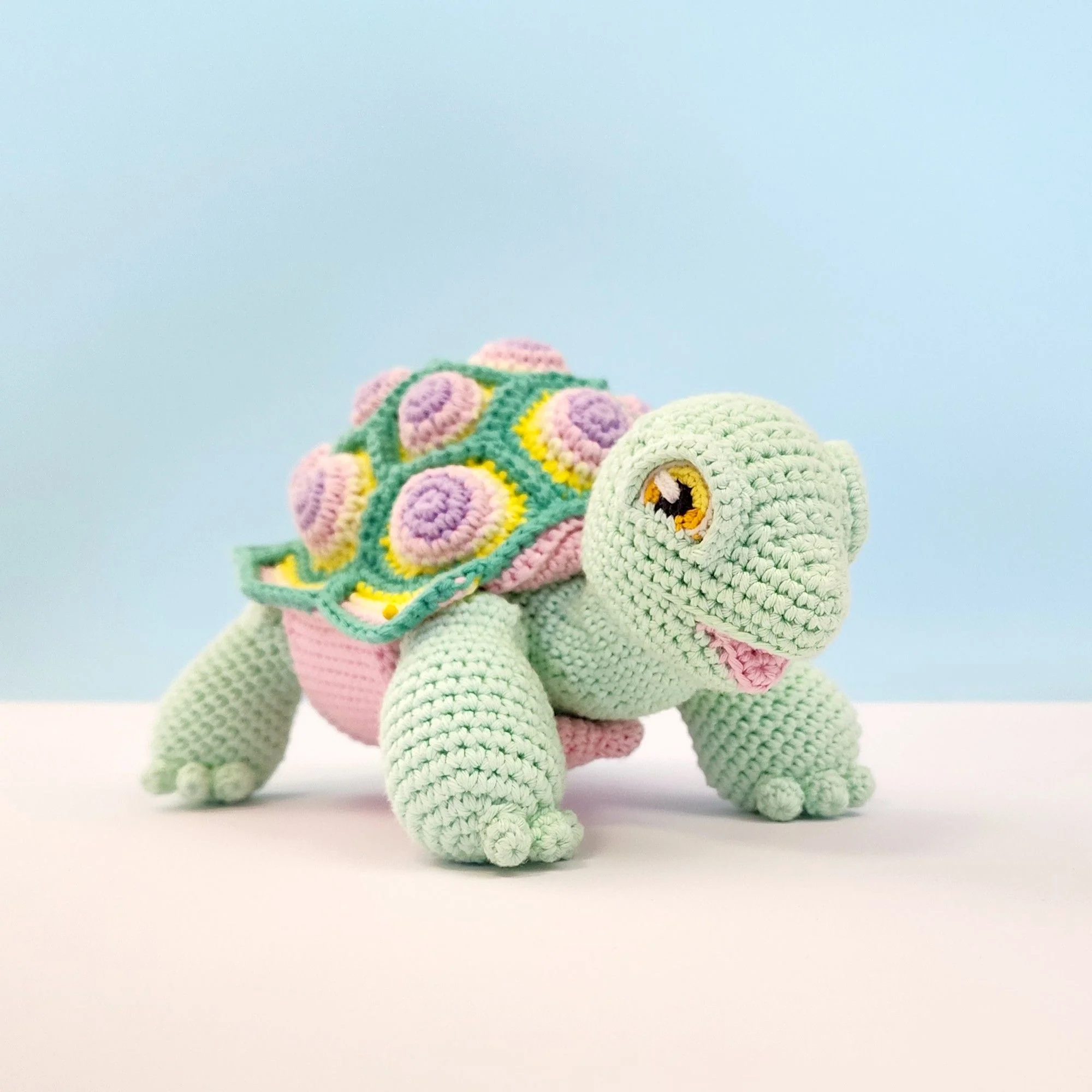 Astro the Tortoise - Image 14