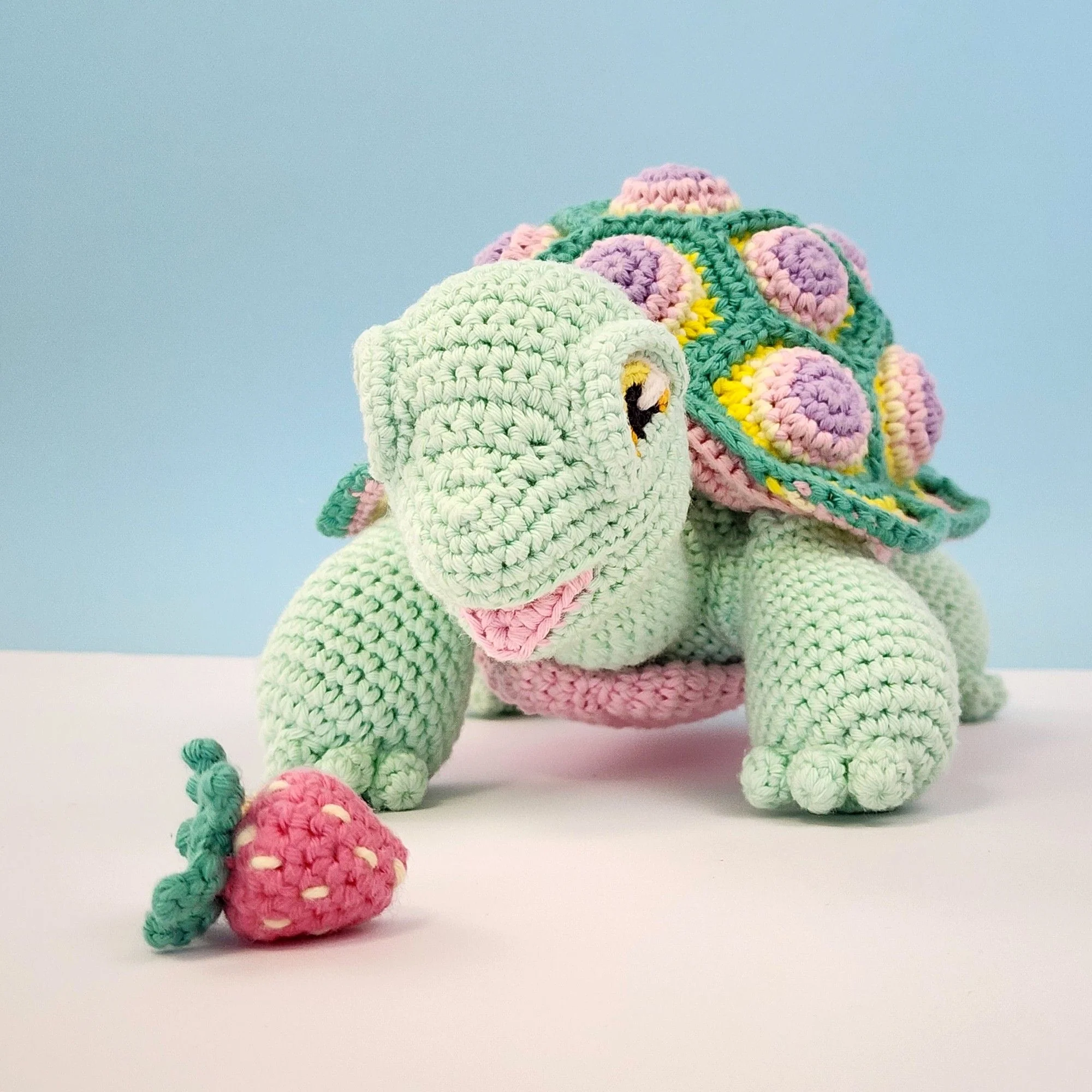 Astro the Tortoise - Image 6