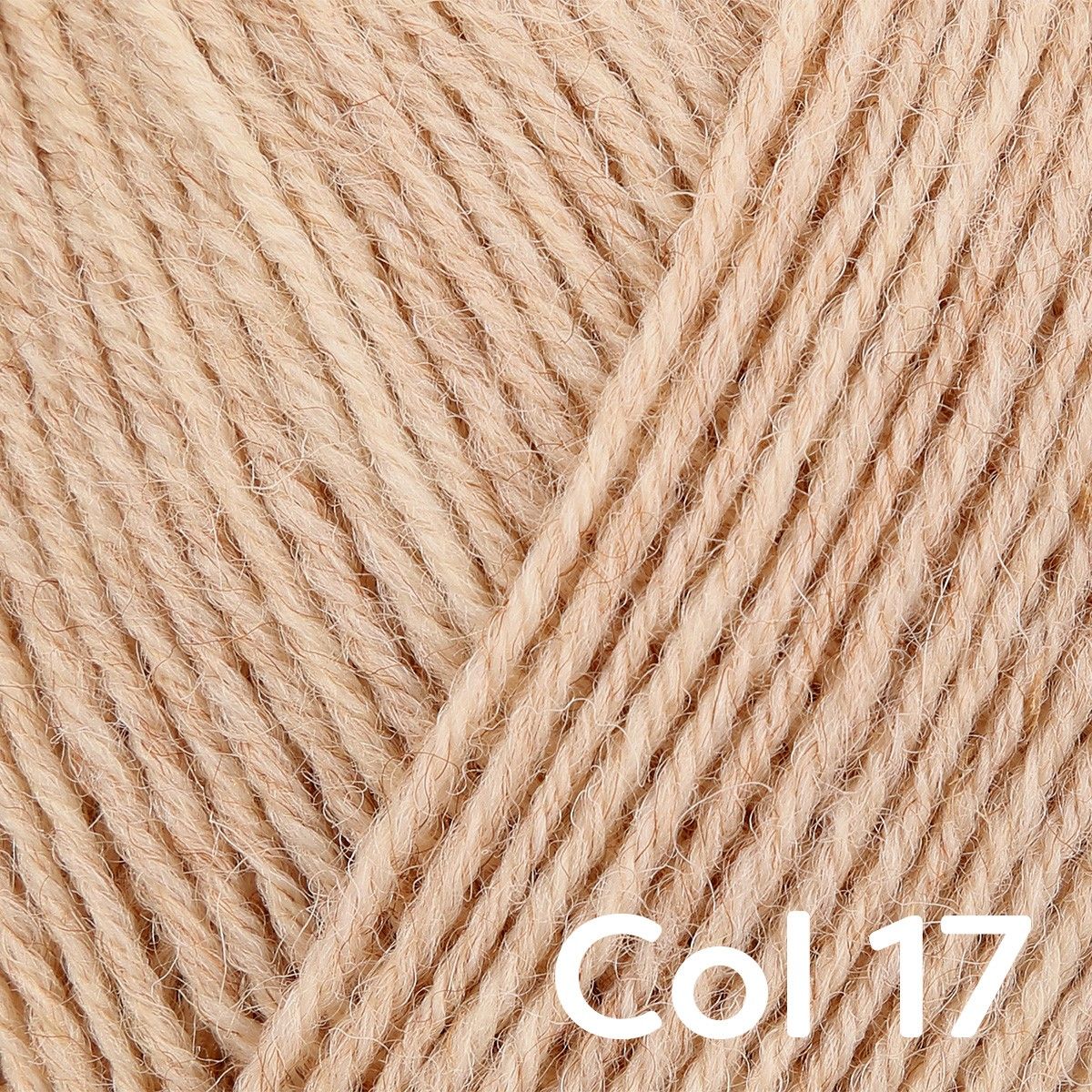 Regia 4-ply Uni - Image 3
