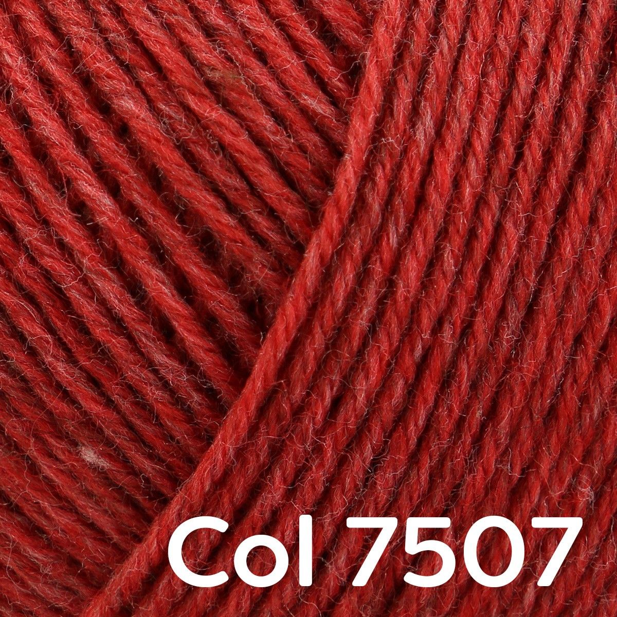 Regia Premium Merino Yak 4-ply - Image 5