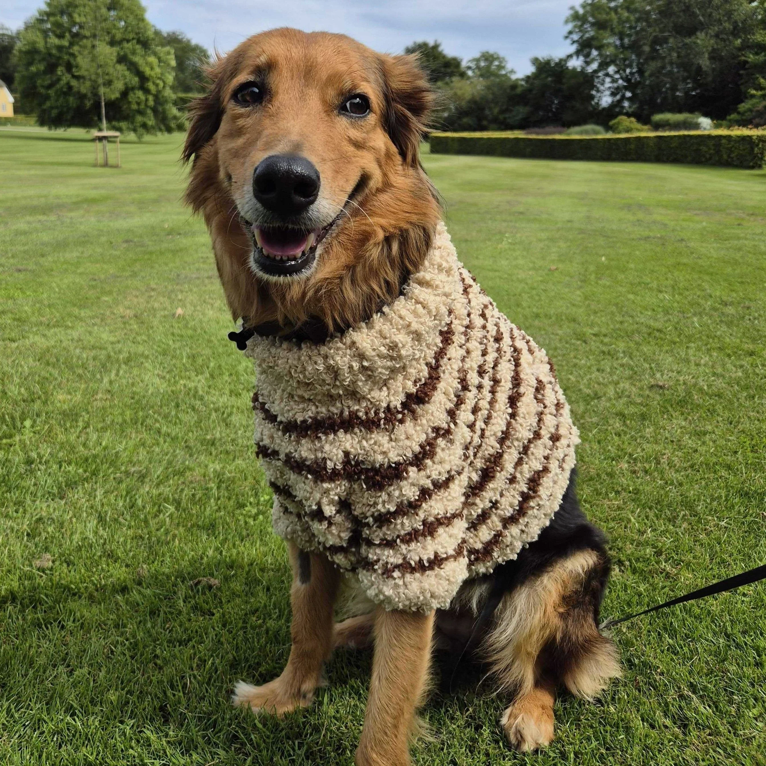 Stevie - Dog Sweater - Image 3