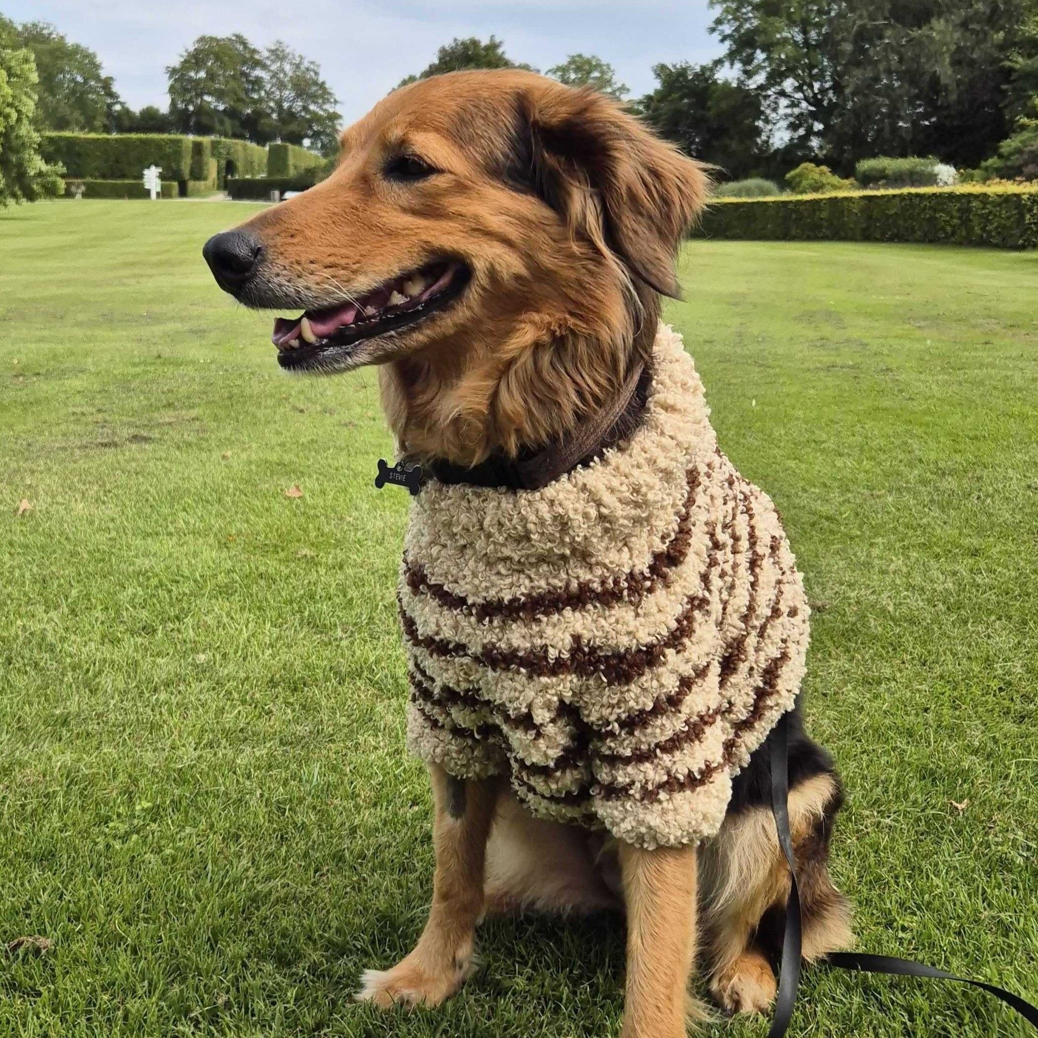 Stevie - Dog Sweater - Image 4