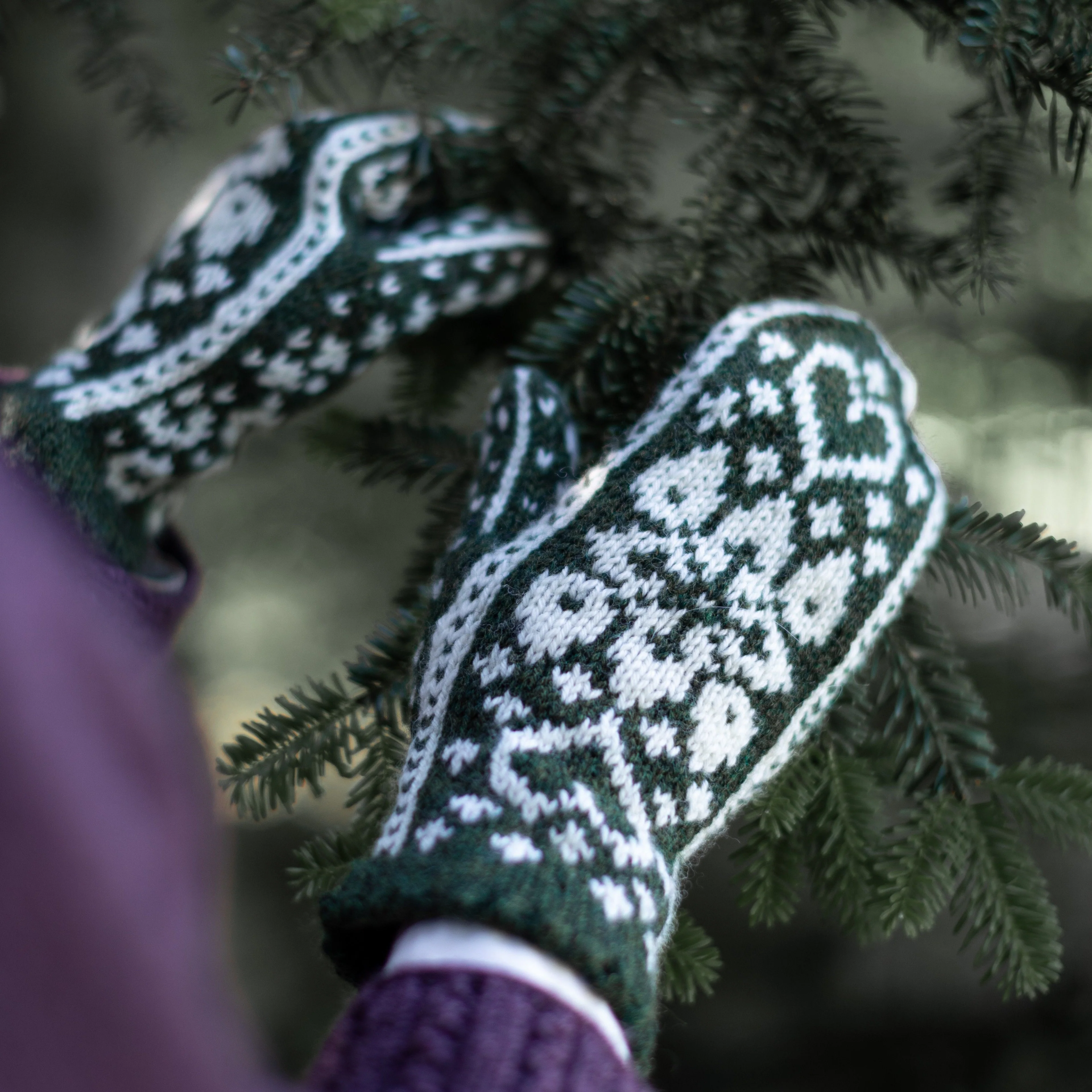 Powder Flower - Mittens