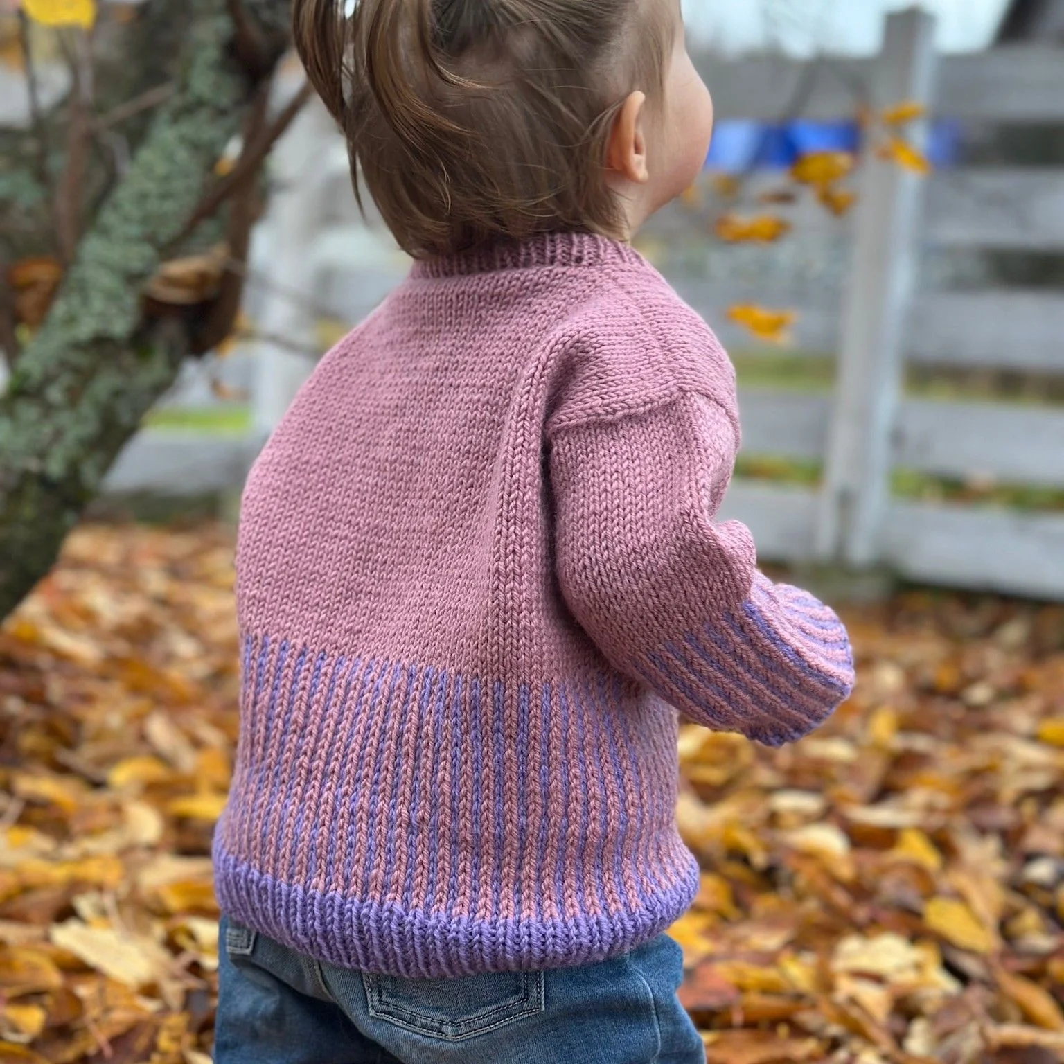 Easy Colour Mix Sweater Junior